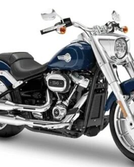 HARLEY DAVIDSON FAT BOY SCREEN PROTECTOR PRISM GUARD