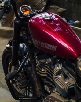 HARLEY DAVIDSON ROADSTER SCREEN PROTECTOR  PRISM GUARD
