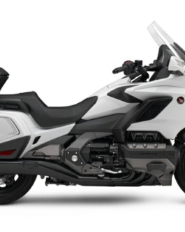 HONDA GOLD WING SCREEN PROTECTOR PRISM GUARD (2020+)