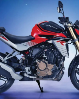 HERO XTREME 250 R SCREEN PROTECTOR PRISM GUARD [2025]