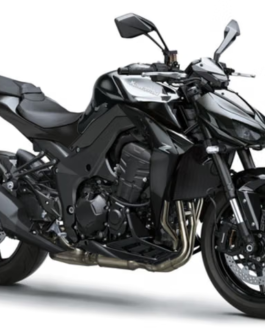 KAWASAKI Z 1100 SCREEN PROTECTOR PRISM GUARD